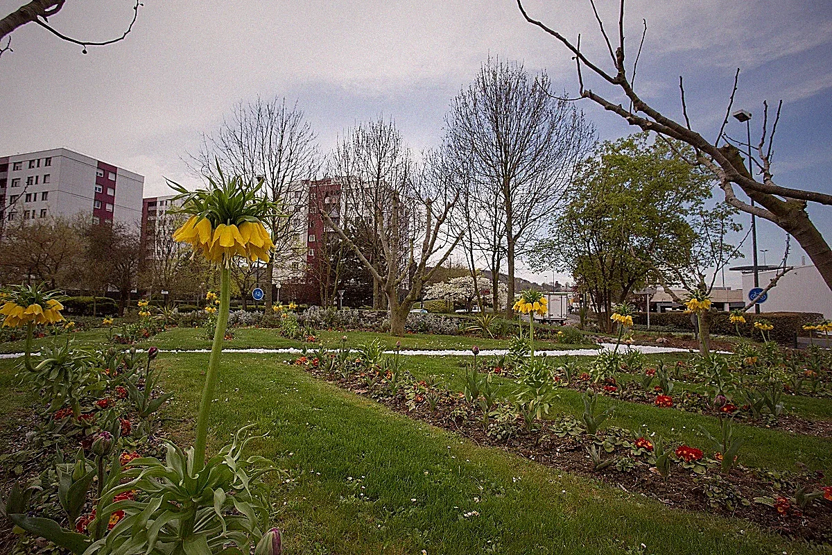 Montigny-lès-Cormeilles — vue de la ville